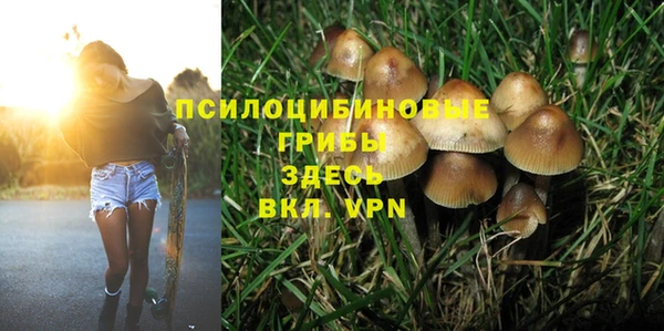прущая мука Алзамай