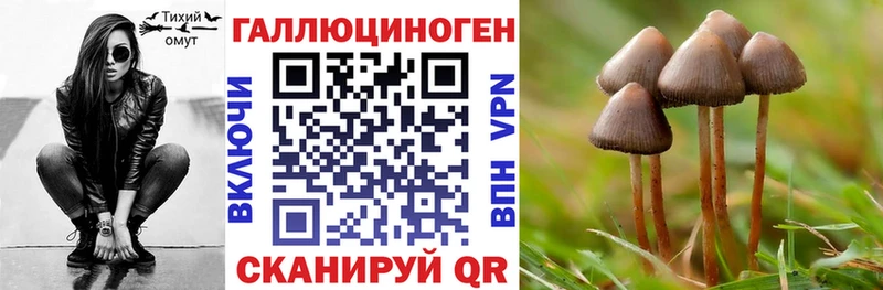 закладки  Заводоуковск  Псилоцибиновые грибы MAGIC MUSHROOMS 